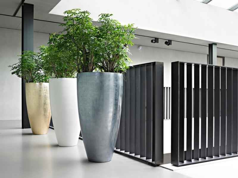 Fully Managed Interior Planting Services