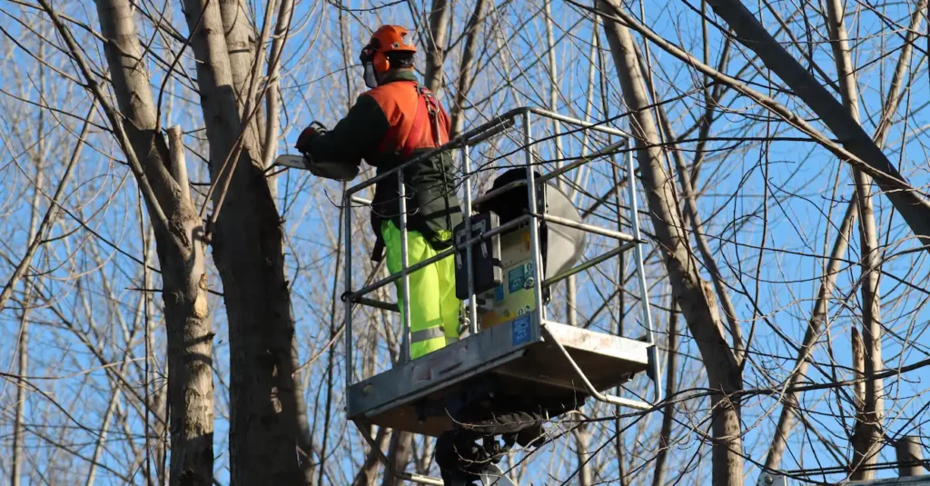 OUTCO Tree Surgery