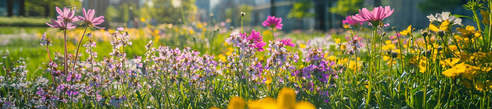 Biodiversity Image 1 - Blog Post