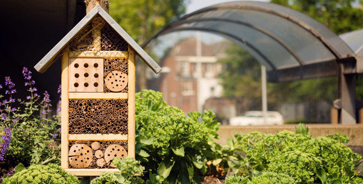 Sustainable Grounds Maintenance