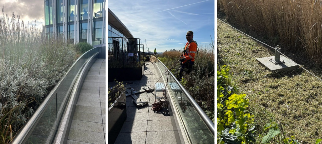 Grounds maintenance in high-risk environments