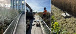 Grounds maintenance in high-risk environments