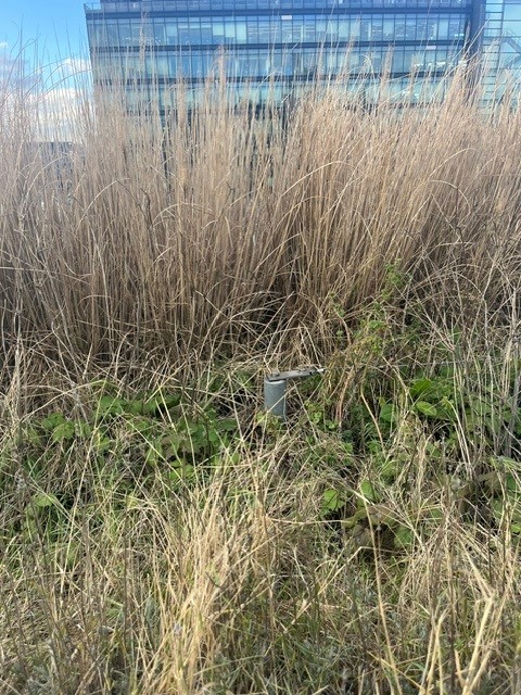 Grounds Maintenance High Risk