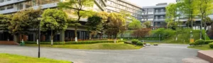Summer Grounds Maintenance Safety