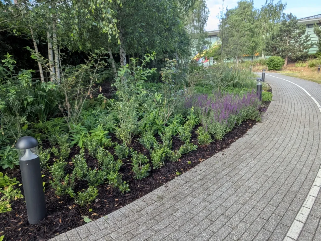 Commercial soft landscaping