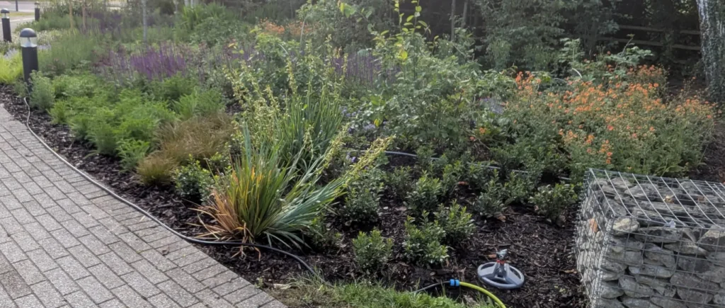 Commercial soft landscaping