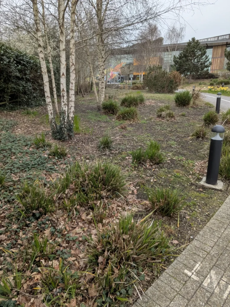 Commercial soft landscaping