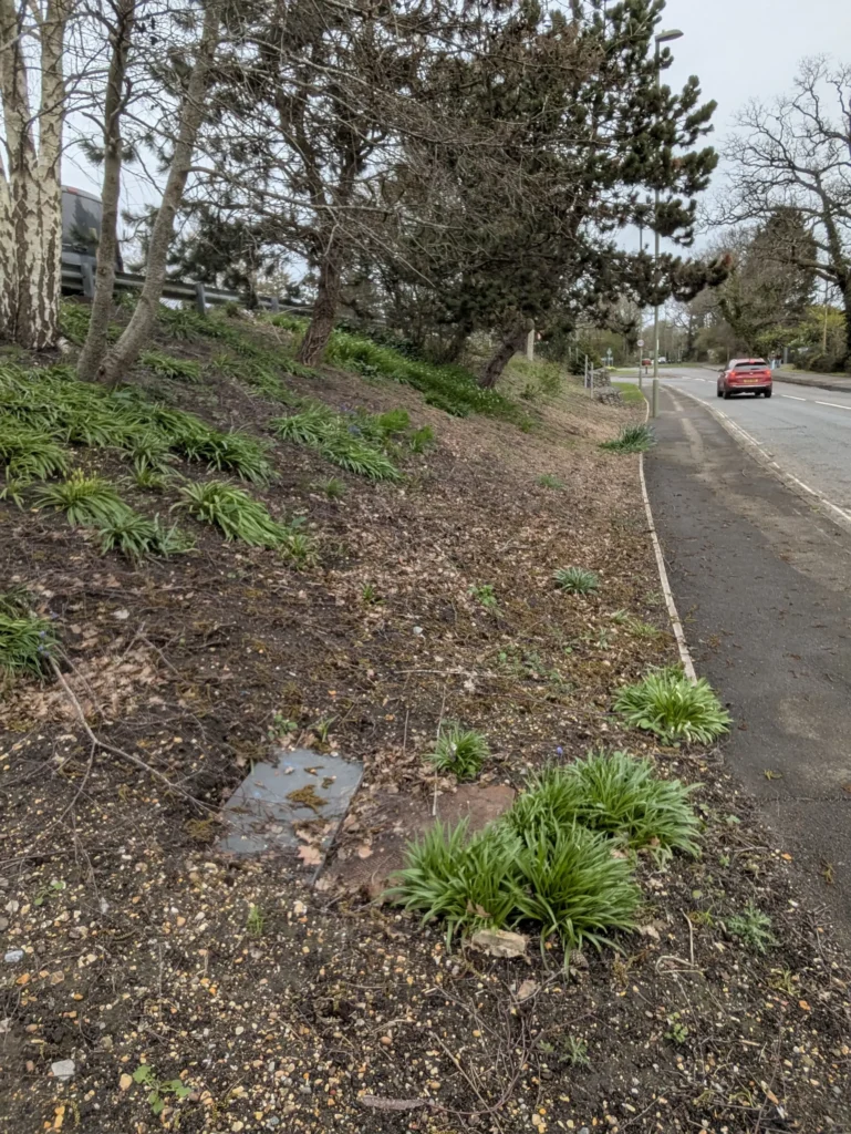 Commercial soft landscaping