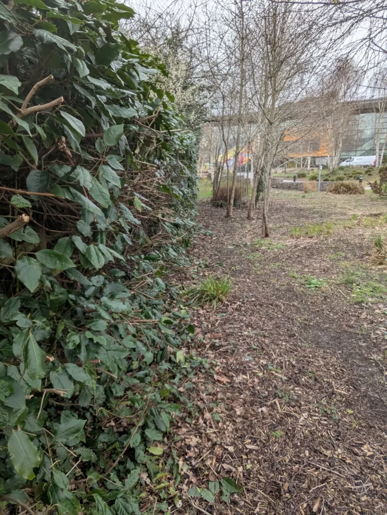 Commercial soft landscaping