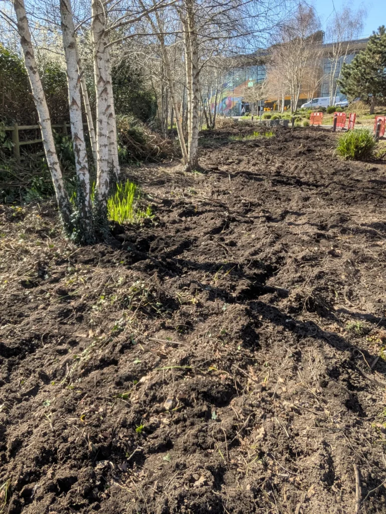 Commercial soft landscaping