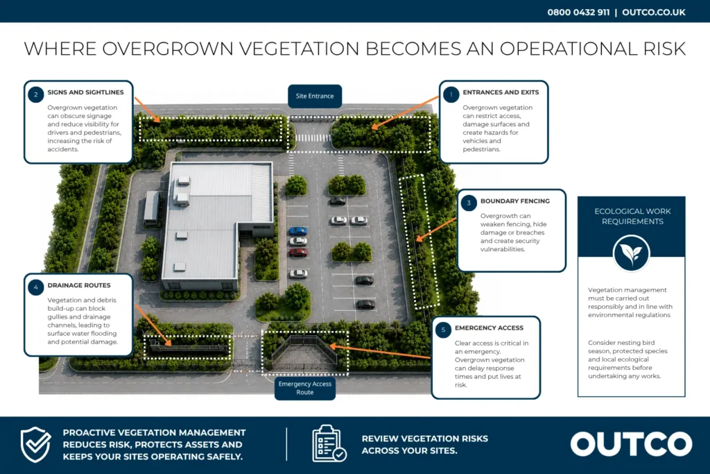 Vegetation clearance and risks