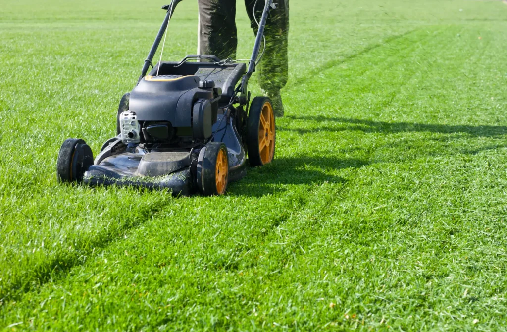 Commercial Grounds Maintenance