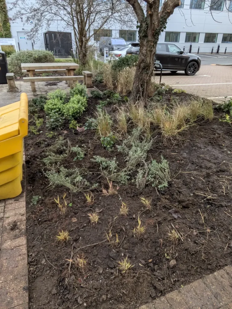 commercial landscaping project